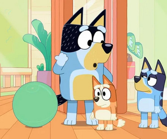 Bluey - 01/07/2026
