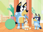 Bluey Bluey
