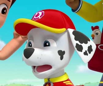 Paw Patrol, la Pat'Patrouille - Le match de basketball