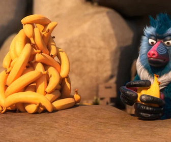 Les as de la jungle à la rescousse - 29/12/2025