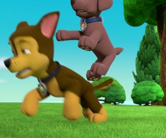 Paw Patrol, la Pat'Patrouille - Le Ruben-O-Saurus - 26'