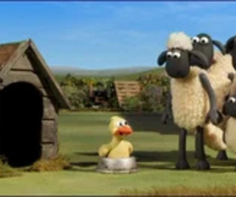 Shaun le mouton - L'oie s'en va