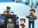 Paw Patrol, la Pat'Patrouille