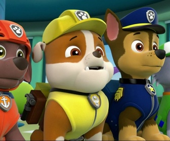 Paw Patrol, la Pat'Patrouille - Le concours de beauté