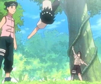Naruto - S2 E24 - La Ttechnique interdite