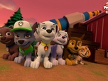 Paw Patrol, la Pat'Patrouille