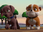 Paw Patrol, la Pat'Patrouille