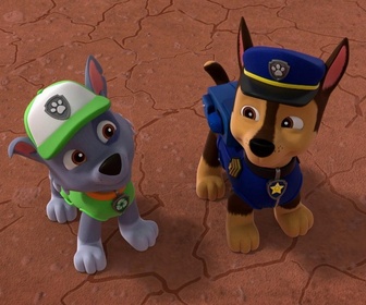 Paw Patrol, la Pat'Patrouille - Les aventurières du désert