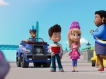 Paw Patrol, la Pat'Patrouille