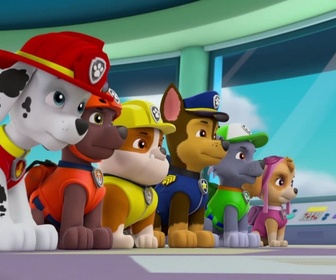 Paw Patrol, la Pat'Patrouille - Danny X le Hardi !