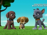 Paw Patrol, la Pat'Patrouille