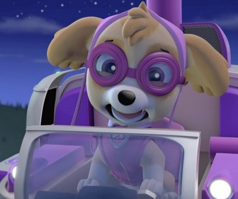 Paw Patrol, la Pat'Patrouille - Un atterrissage forcé