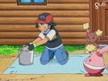 Pokémon