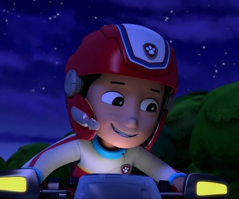 Paw Patrol, la Pat'Patrouille - Une nuit au musée
