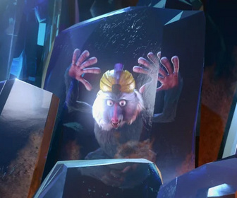 Les as de la jungle à la rescousse - 29/11/2025