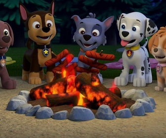 Paw Patrol, la Pat'Patrouille - L'assistant de la Fée des dents