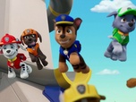 Paw Patrol, la Pat'Patrouille