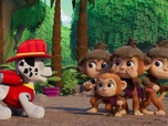 Paw Patrol, la Pat'Patrouille Paw Patrol, la Pat'Patrouille