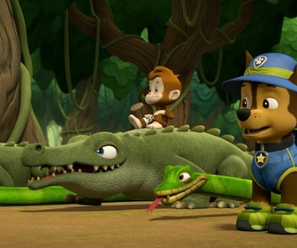 Paw Patrol, la Pat'Patrouille - Attention, boules puantes !