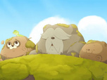Taki Tanuki Taki Tanuki
