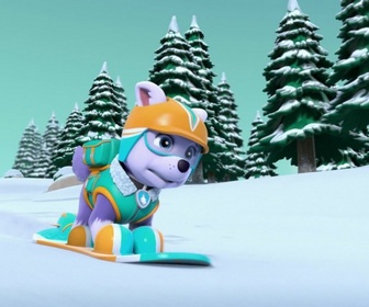 Paw Patrol, la Pat'Patrouille - Panique sur les pistes
