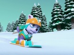 Paw Patrol, la Pat'Patrouille