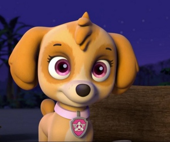 Paw Patrol, la Pat'Patrouille - Les chiens-sirènes