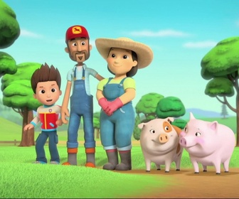 Paw Patrol, la Pat'Patrouille - Le mariage