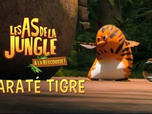 Les as de la jungle à la rescousse Les as de la jungle à la rescousse