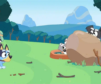 Bluey - 21/02/2026