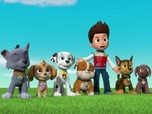 Paw Patrol, la Pat'Patrouille