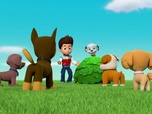 Paw Patrol, la Pat'Patrouille