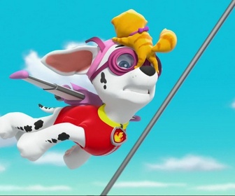 Paw Patrol, la Pat'Patrouille - Marcus, seul dans la tour de contrôle