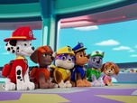 Paw Patrol, la Pat'Patrouille