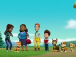 Paw Patrol, la Pat'Patrouille