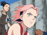 Naruto Shippuden