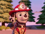Paw Patrol, la Pat'Patrouille
