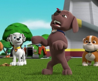 Paw Patrol, la Pat'Patrouille - Eddie et Emmy se multiplient