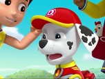 Paw Patrol, la Pat'Patrouille Paw Patrol, la Pat'Patrouille