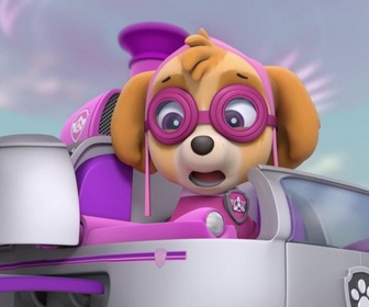 Paw Patrol, la Pat'Patrouille - La ponette
