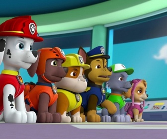 Paw Patrol, la Pat'Patrouille - Madame Goodway à la ferme