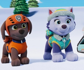Paw Patrol, la Pat'Patrouille - Les surfeurs des montagnes