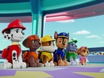 Paw Patrol, la Pat'Patrouille Paw Patrol, la Pat'Patrouille