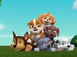 Paw Patrol, la Pat'Patrouille