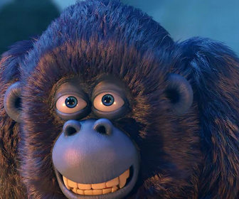 Les as de la jungle à la rescousse - 14/11/2025