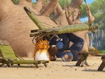 Les as de la jungle à la rescousse