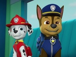 Paw Patrol, la Pat'Patrouille