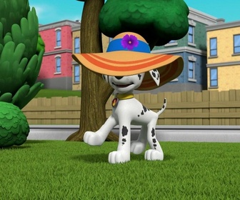 Paw Patrol, la Pat'Patrouille - Mission camion : Le chalet snowboarder