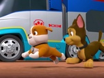 Paw Patrol, la Pat'Patrouille Paw Patrol, la Pat'Patrouille