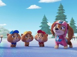 Paw Patrol, la Pat'Patrouille